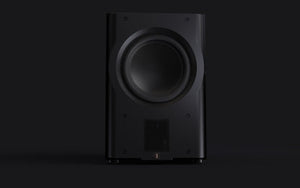 Perlisten - R210s - Subwoofer