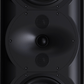 Perlisten - R5m - Monitor Speaker (Pair)